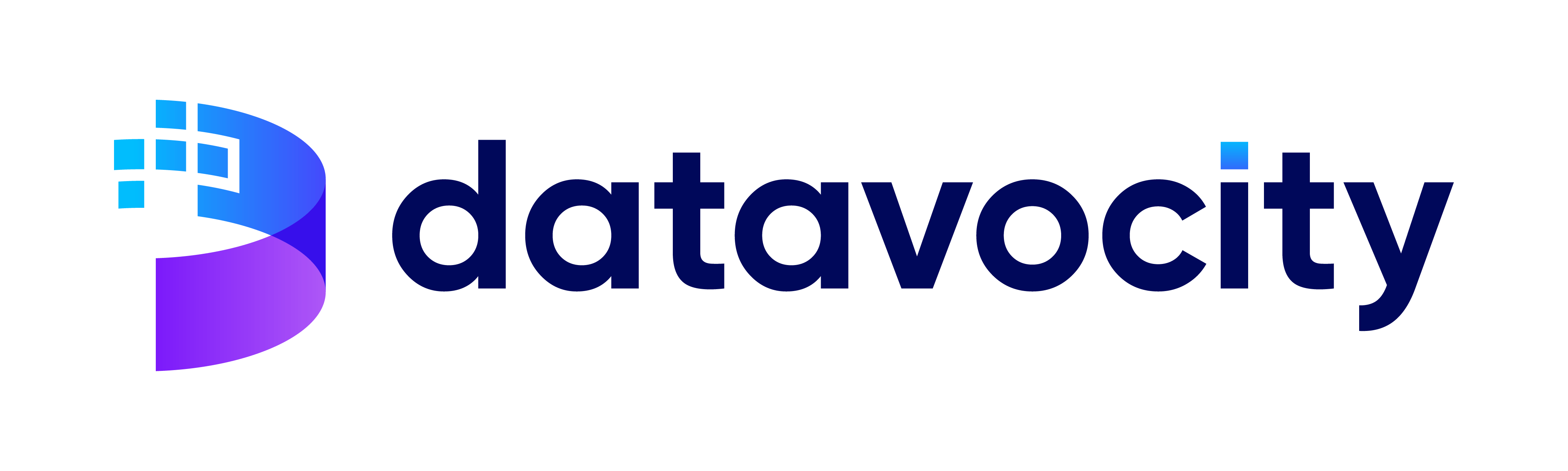 Datavocity-Logo